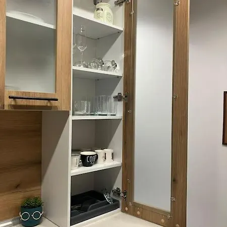 Apartment Aleksandar Premium