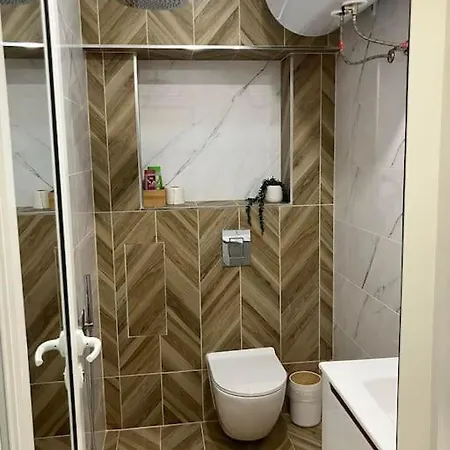 Aleksandar Premium Daire *