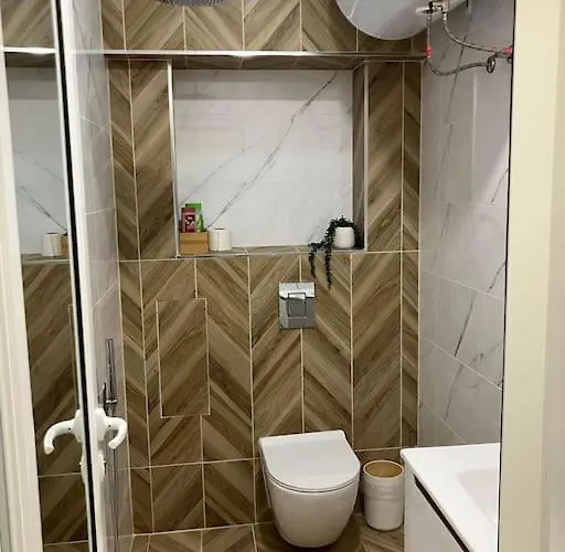 Aleksandar Premium Apartman *